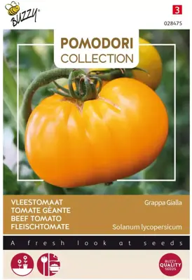 Buzzy zaden Pomodori, Vleestomaat Grappa Gialla - afbeelding 1