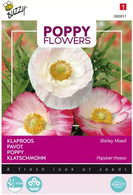 Buzzy zaden Poppy Flowers, Klaproos Gemengd - afbeelding 1