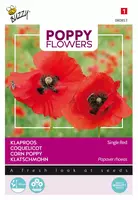 Buzzy zaden Poppy Flowers, Klaproos Rhoeas Rood kopen?