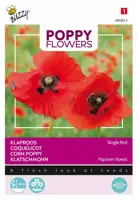 Buzzy zaden Poppy Flowers, Klaproos Rhoeas Rood - afbeelding 1