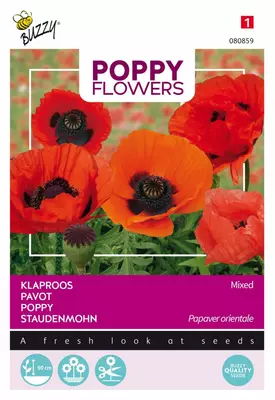 Buzzy zaden Poppy Flowers, Oosterse klaproos gemengd - afbeelding 1