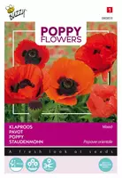 Buzzy zaden Poppy Flowers, Oosterse klaproos gemengd - afbeelding 1