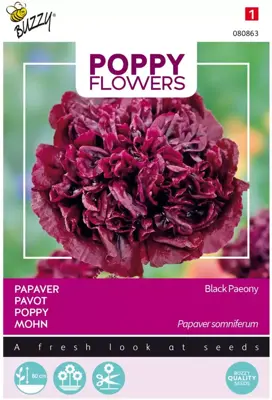 Buzzy zaden Poppy Flowers, Papaver Black Paeony - afbeelding 1