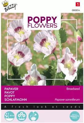 Buzzy zaden Poppy Flowers, Papaver Blauwmaanzaad - afbeelding 1