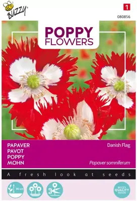 Buzzy zaden Poppy Flowers, Papaver Deense Vlag - afbeelding 1