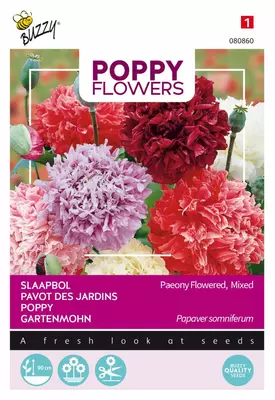 Buzzy zaden Poppy Flowers, Slaapbol Pioenbloemige papaver - afbeelding 1