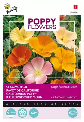 Buzzy zaden Poppy Flowers, Slaapmutsje - afbeelding 1