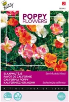 Buzzy zaden Poppy Flowers, Slaapmutsjes Dubbelbloemig kopen?