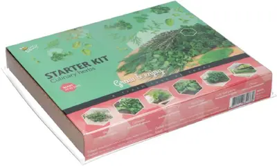 Buzzy zaden Starter kweekset 'Culinary Herbs' - afbeelding 3