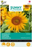 Buzzy zaden sunny flowers, Zonnebloem Irish Eyes - afbeelding 1