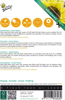 Buzzy zaden sunny flowers, Zonnebloem Lemon Queen - afbeelding 2