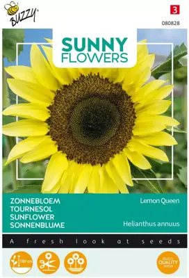 Buzzy zaden sunny flowers, Zonnebloem Lemon Queen - afbeelding 1