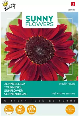 Buzzy zaden sunny flowers, Zonnebloem Moulin Rouge - afbeelding 1