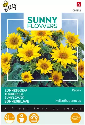 Buzzy zaden sunny flowers, Zonnebloem Pacino Gold - afbeelding 1
