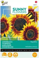 Buzzy zaden sunny flowers, Zonnebloem Ring of Fire - afbeelding 1