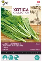 Buzzy zaden xotica groene amsoi of mosterdkool kopen?