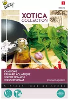 Buzzy zaden xotica kankong, waterspinazie of dagoeblad - afbeelding 1