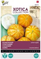 Buzzy zaden xotica Komkommer Lemon Apple - afbeelding 1