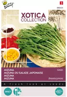 Buzzy zaden xotica mizuna, japanse salade - afbeelding 1