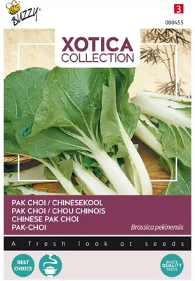 Buzzy zaden xotica paksoi kanton, pak-choi - afbeelding 1