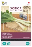 Buzzy zaden xotica Palmboom sla - Aspergesla - afbeelding 1