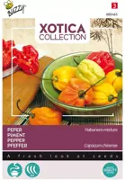 Buzzy zaden xotica peper habanero mix - afbeelding 1