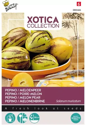 Buzzy zaden xotica pepino, meloenpeer - afbeelding 1