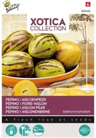 Buzzy zaden xotica pepino, meloenpeer kopen?