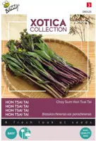 Buzzy zaden Xotica Purple Choy Sum Hon Tsai Tai kopen?