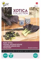 Buzzy zaden xotica Rode Tatsoi - afbeelding 1