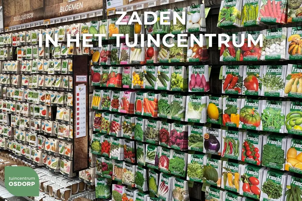 Sopropo: de gezondheidsvoordelen en mogelijke risico's van deze bittere groente