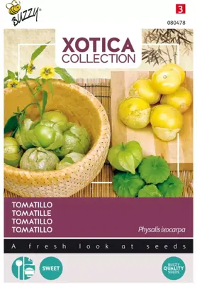 Buzzy zaden xotica tomatillo, mexicaanse aardkers - afbeelding 1