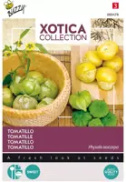 Buzzy zaden xotica tomatillo, mexicaanse aardkers kopen?