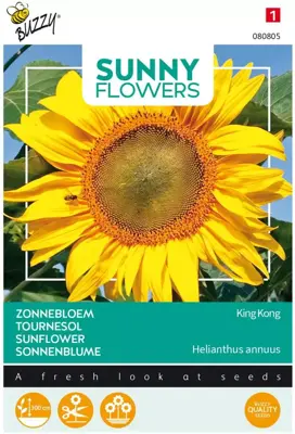 Buzzy zaden, Zonnebloem king kong - afbeelding 1