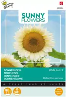 Buzzy zaden Zonnebloem white sun of day 6zdn kopen?