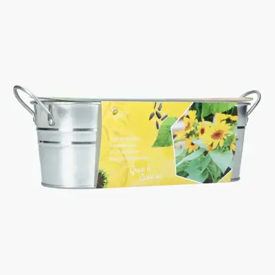 Buzzy Zinken Teiltje Zonnebloem zaden - afbeelding 2