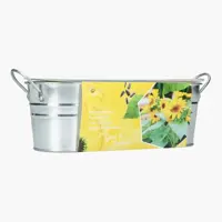 Buzzy Zinken Teiltje Zonnebloem zaden - afbeelding 2