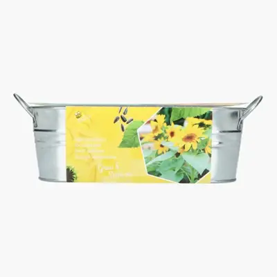 Buzzy Zinken Teiltje Zonnebloem zaden - afbeelding 3