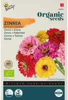 Buzzy® Zinnia dubbele Dahliabloemige mix (BIO) - afbeelding 1