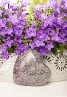 Campanula portenschlagiana (Dalmatiëklokje) - afbeelding 28