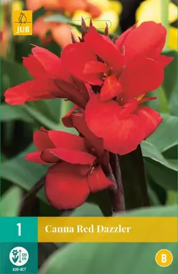 Canna red dazzler 1 stuks - afbeelding 1