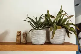 Capi bloempot bol Nature Rib 14,5x13,5 cm ivoor - afbeelding 2