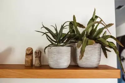 Capi bloempot bol Nature Rib 24x21 cm Antraciet & Ivoor - afbeelding 2