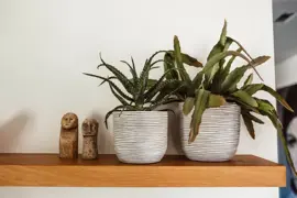 Capi bloempot bol Nature Rib 24x21 cm Antraciet & Ivoor - afbeelding 2