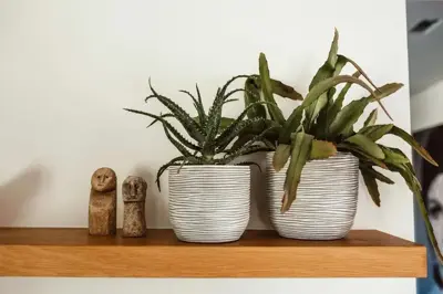 Capi bloempot bol Nature Rib 9x8 cm Antraciet & Ivoor - afbeelding 2