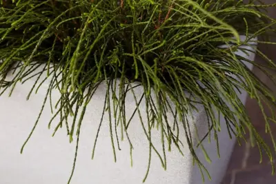 Capi Europe Bak rechthoek Arc Granite 90x35x40 warm taupe - afbeelding 5