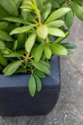 Capi Europe Bak rechthoek Arc Granite 90x35x60 warm taupe - afbeelding 4