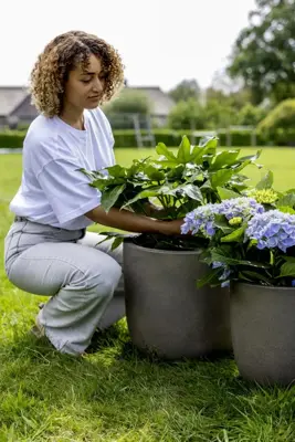 Capi Europe Pot bol Smooth NL 35x34 warm taupe - afbeelding 7