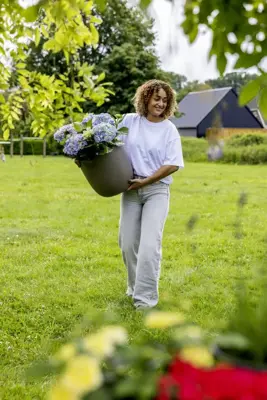 Capi Europe Pot bol Smooth NL 54x52 warm taupe - afbeelding 2