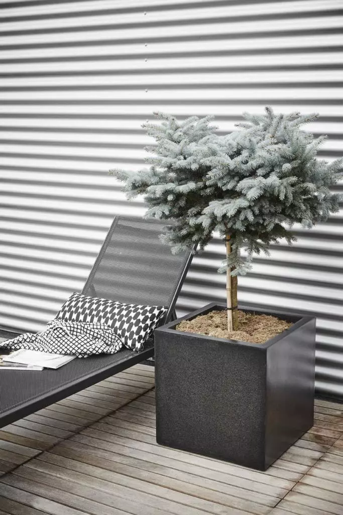 animatie afgewerkt kiem Capi lux terrazzo plantenbak 50x50x50 cm zwart kopen? - tuincentrum Osdorp  :)